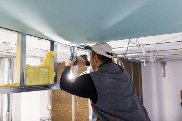 Best Crawl Space Insulation  in San Ysidro, NM