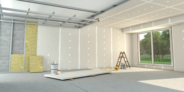 Best Cellulose Insulation  in San Ysidro, NM