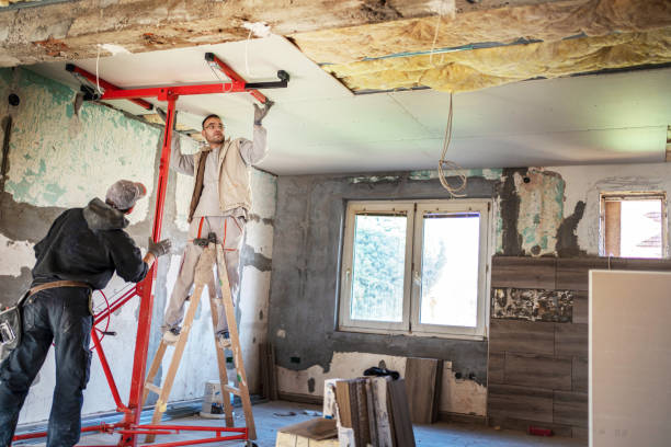Best Affordable Insulation Services  in San Ysidro, NM