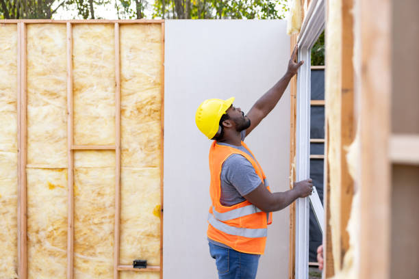 Best Insulation Removal  in San Ysidro, NM