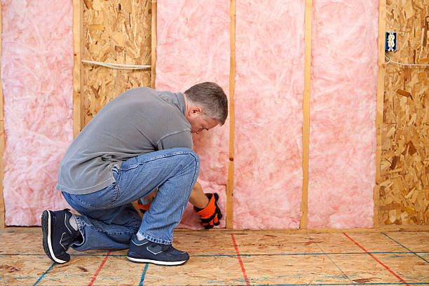 Best Insulation Inspection Services  in San Ysidro, NM